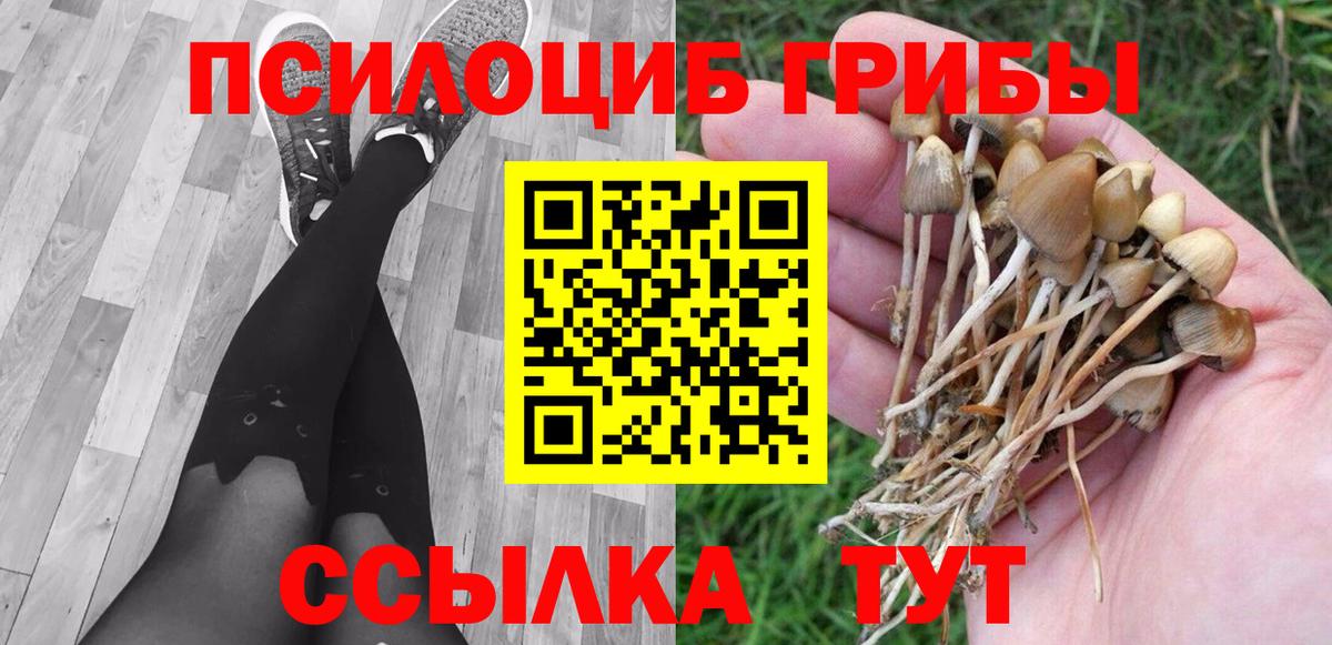 Галлюциногенные грибы MAGIC MUSHROOMS Карасук