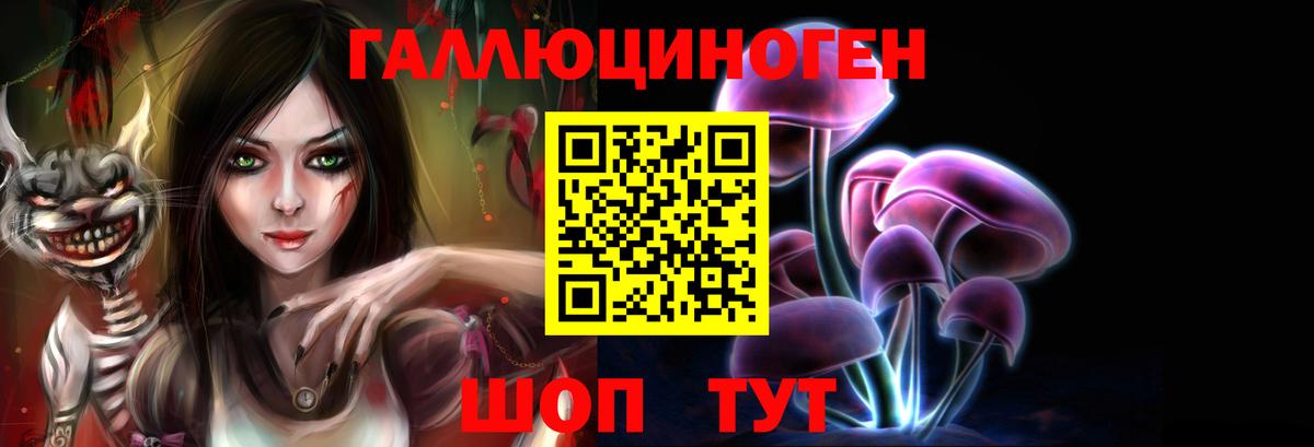 Псилоцибиновые грибы Psilocybine cubensis  Вход с VPN  Карасук 